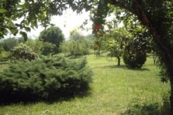 Il parco