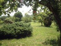 Il Parco